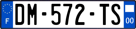 DM-572-TS
