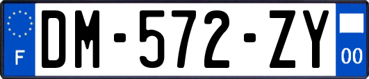 DM-572-ZY