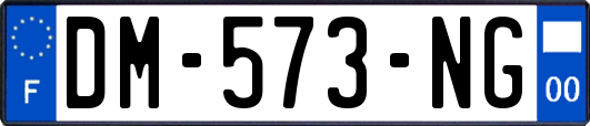 DM-573-NG
