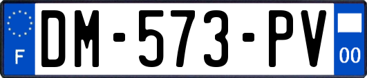 DM-573-PV