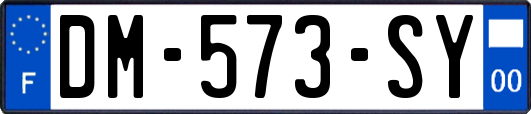 DM-573-SY