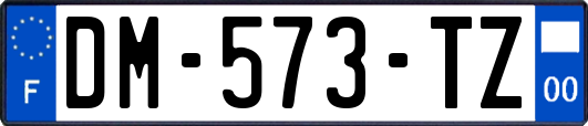 DM-573-TZ