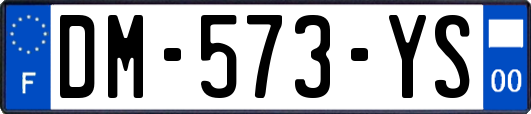 DM-573-YS