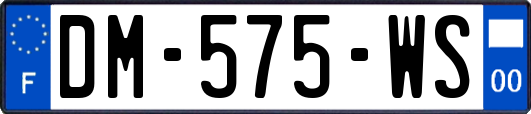 DM-575-WS