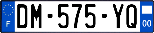 DM-575-YQ