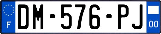 DM-576-PJ