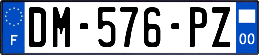 DM-576-PZ