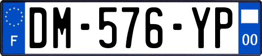 DM-576-YP