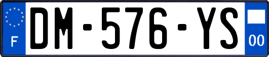 DM-576-YS