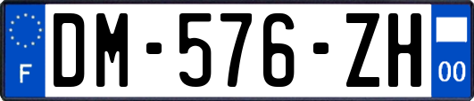 DM-576-ZH