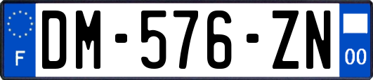 DM-576-ZN