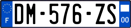 DM-576-ZS