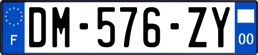 DM-576-ZY