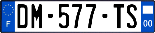 DM-577-TS