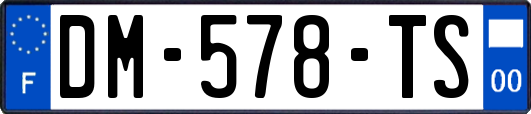DM-578-TS