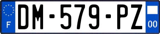 DM-579-PZ