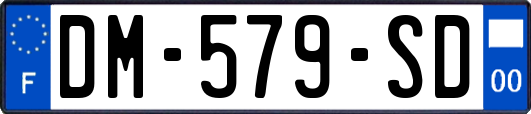 DM-579-SD