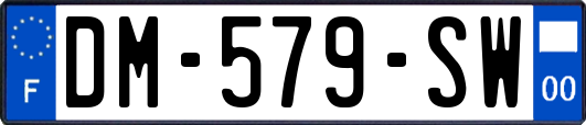 DM-579-SW