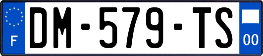 DM-579-TS
