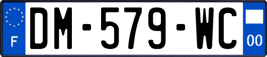 DM-579-WC