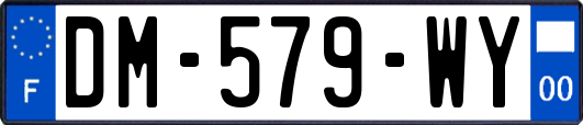 DM-579-WY