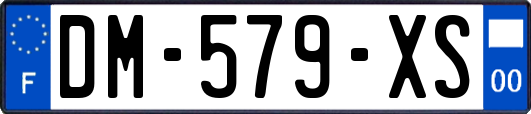 DM-579-XS