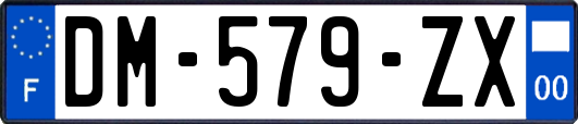 DM-579-ZX