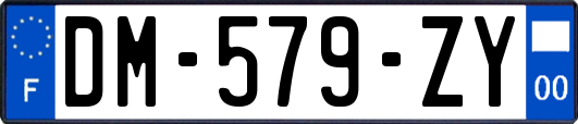 DM-579-ZY