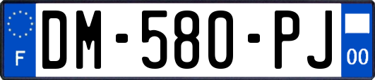 DM-580-PJ