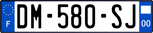 DM-580-SJ