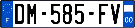 DM-585-FV