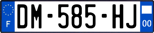 DM-585-HJ