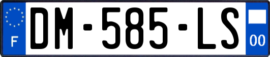 DM-585-LS
