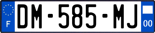 DM-585-MJ