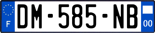 DM-585-NB