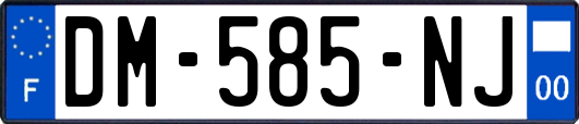 DM-585-NJ