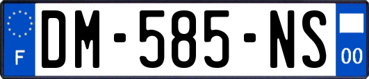 DM-585-NS
