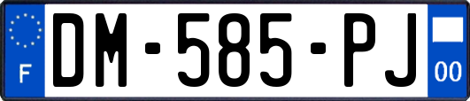 DM-585-PJ
