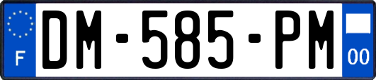 DM-585-PM