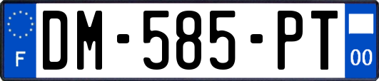 DM-585-PT