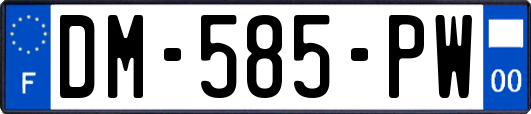DM-585-PW