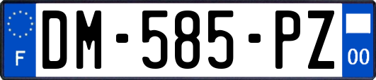 DM-585-PZ