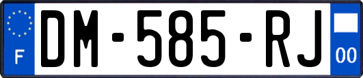 DM-585-RJ