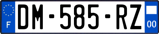 DM-585-RZ