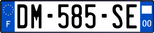 DM-585-SE