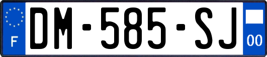 DM-585-SJ