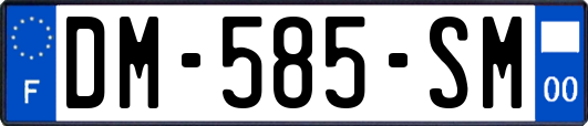 DM-585-SM