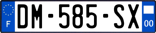 DM-585-SX