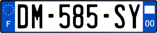 DM-585-SY