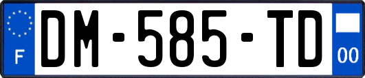 DM-585-TD